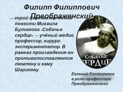 Характеристика преображенского собачье