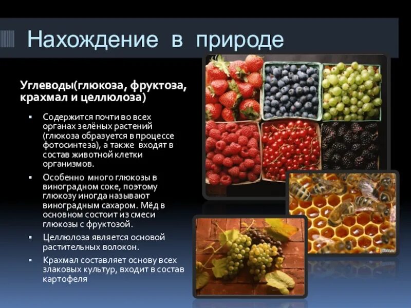 Глюкоза компонент. Углеводы нахождение в природе химия. Таблица углеводов Глюкоза сахароза крахмал Целлюлоза. Фруктоза нахождение в природе. Глюкоза и фруктоза нахождение в природе.