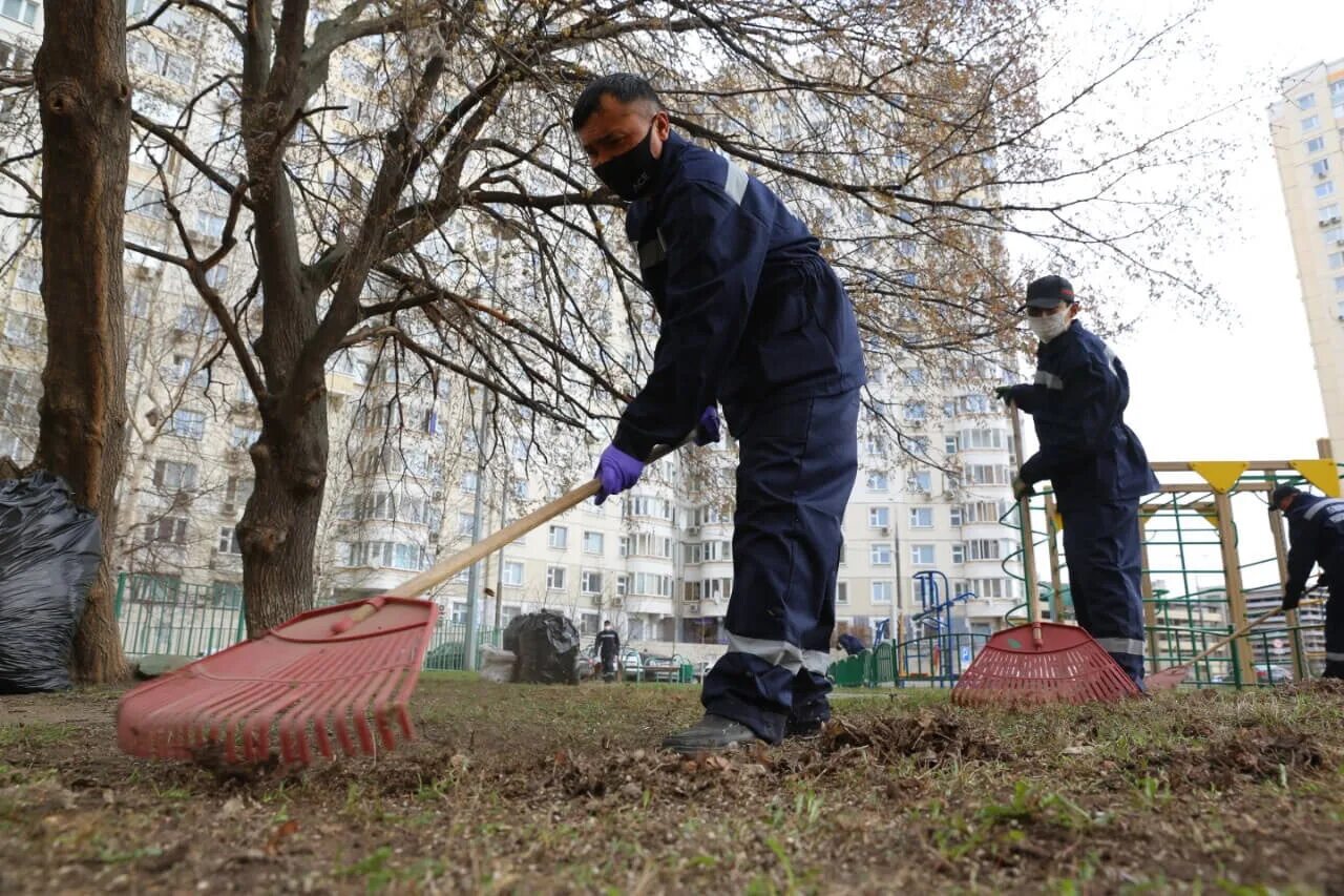 Месячник по благоустройству Москва. Благоустройство уборка. Месячник уборки. Уборка двора после зимы.