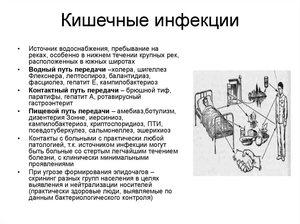 Источниками кишечных инфекций могут являться больные