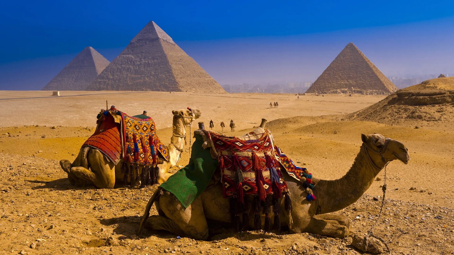 Караван 6 букв. Египет. Египет Шарм-Эль-Шейх пирамиды. Египет шармаль Шейх пирамиды. Шарм Эль Шейх верблюд.