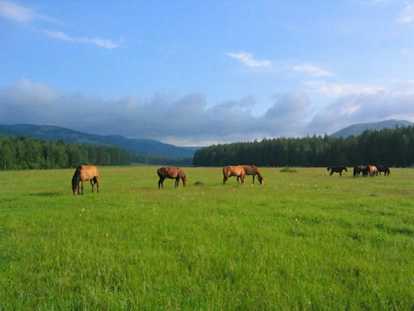 Башкирский край