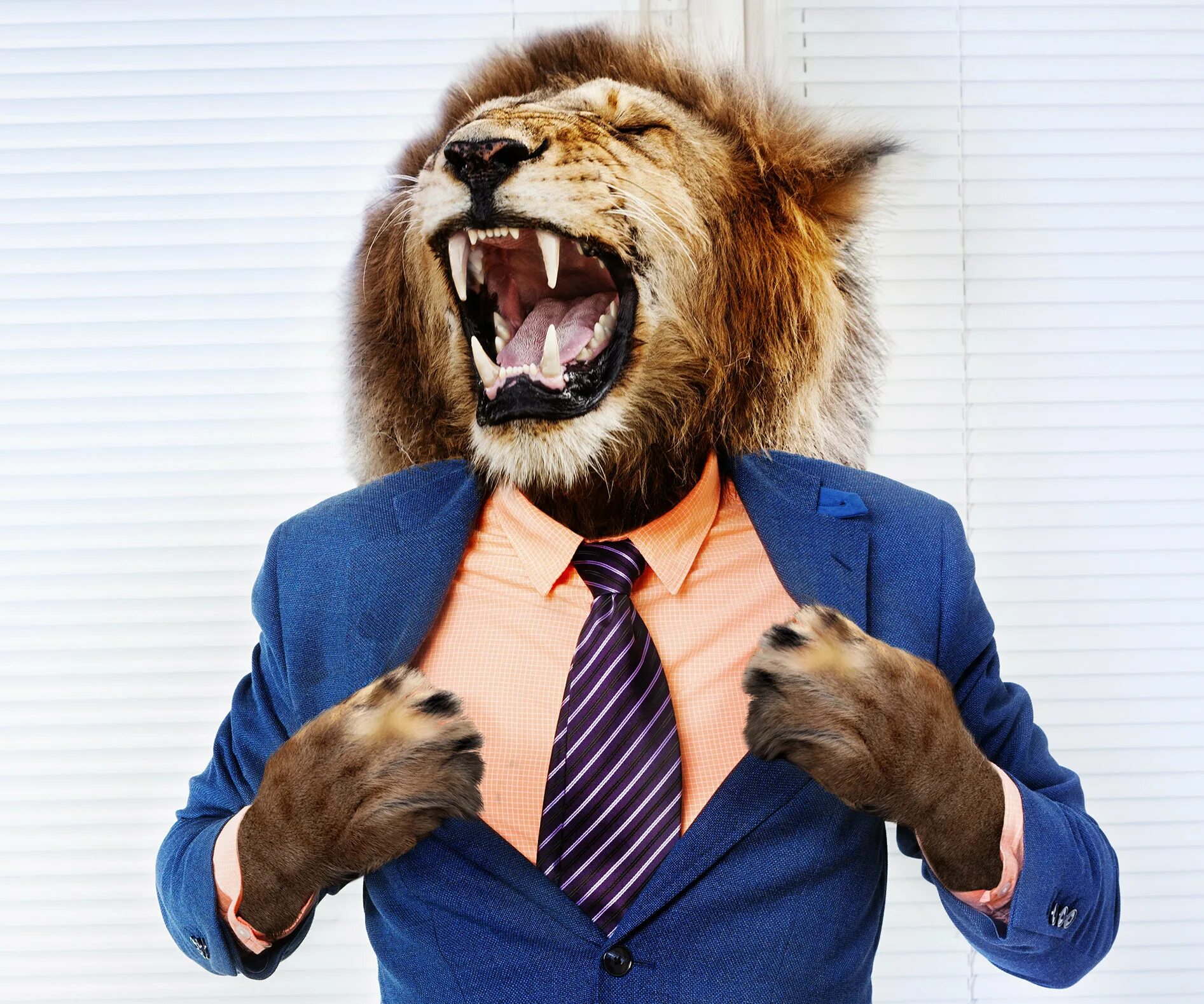 Лев. Парень лев форум. Мужик лев. Муж лев. Мужчина лев.