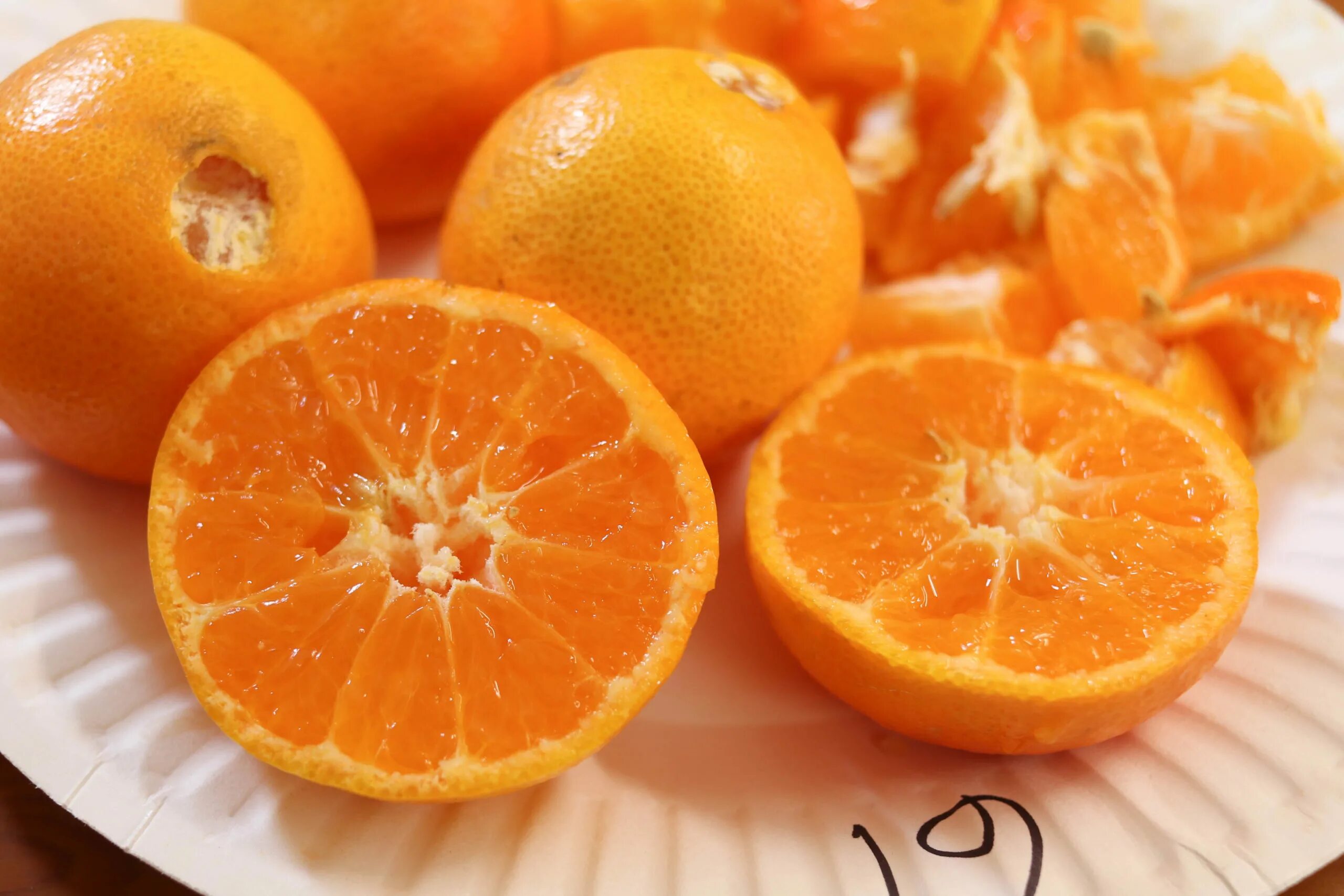 порезанный апельсин. замораживают ли апельсины. апельсин нарезан четвертинками. апельсин фон. замораживают ли апельсины.