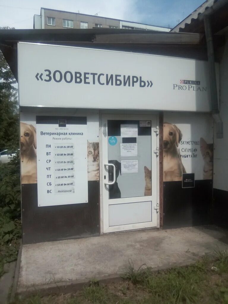 Ветклиника красноярск высотная. Любимец высотная 9а. Красветмедика красноярск. Оборудование для ветеринарного кабинета. Высотная 9 красноярск.