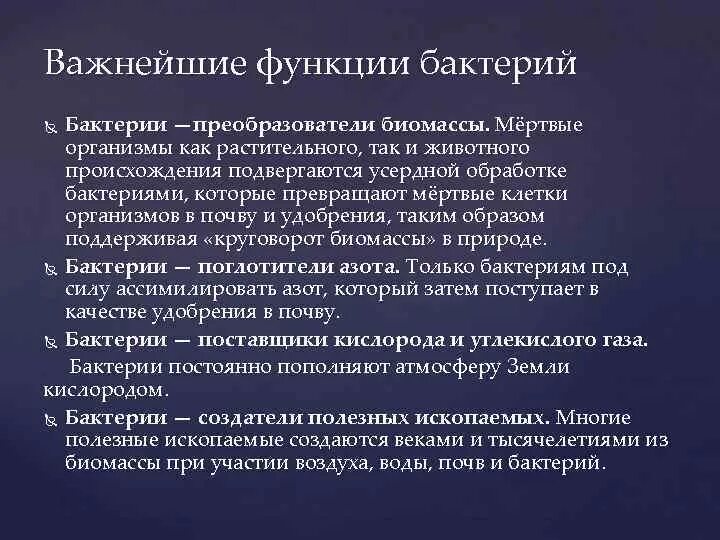 Бактерии их функции. Бактерии их функции