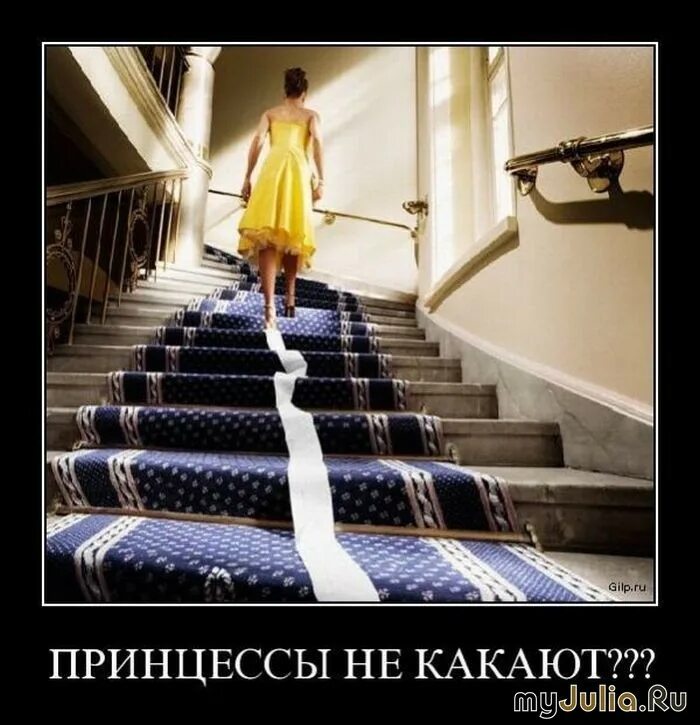 песня принцессы какают зефиром. принцессы какают бабочками. девочки тоже какают. принцесса покакала. зефирка мем.