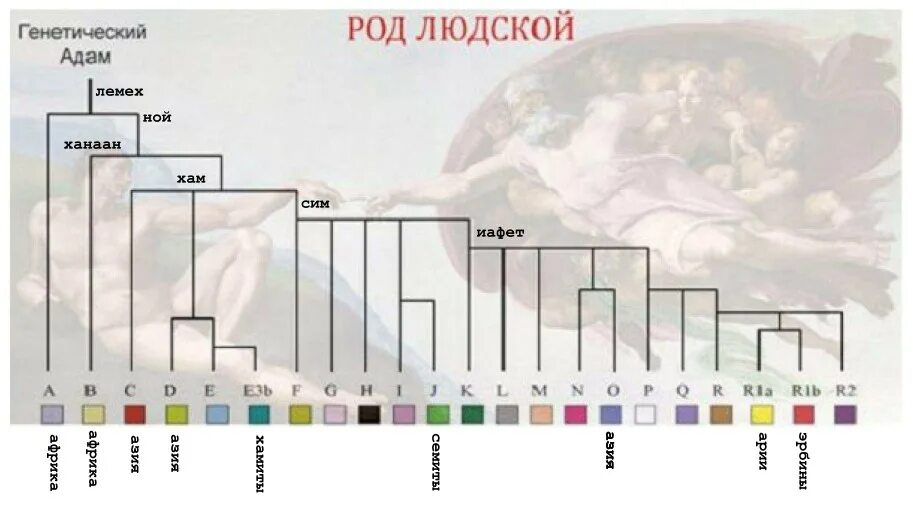 Первый род человечества. Дерево гаплогрупп y-ДНК человека. R1a1 генетика славян. ДНК генеалогия таблица народов.