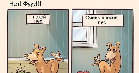 Плохая собака