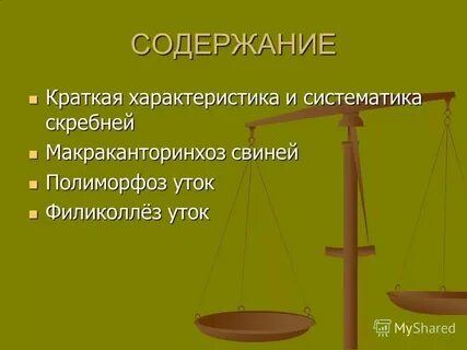 Систематика краткий пересказ