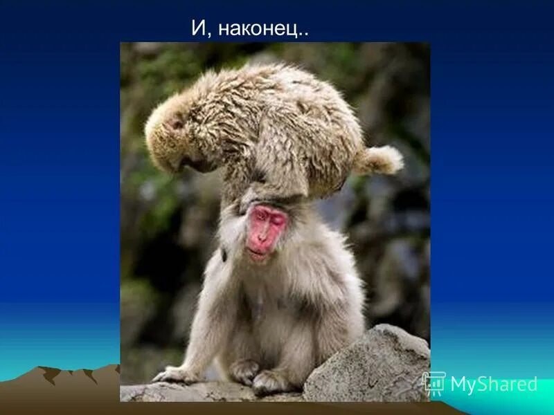 наконец и в путь обратный картинки к отрывку. и наконец главным. и наконец главным. вводные слова. миф или реальность.