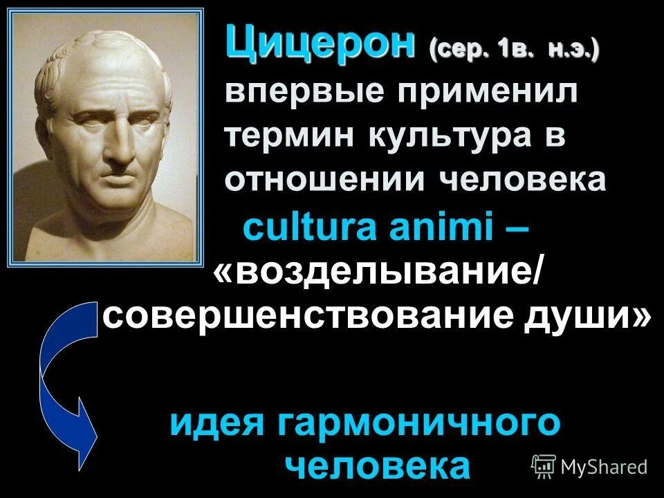цицерон древний рим. термин культурология. политическая культура автор термина. термин культура впервые использовал. введение в мировую художественную культуру.