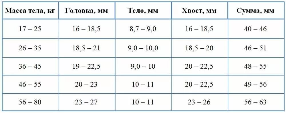 Поджелудочная железа Размеры норма у взрослых УЗИ. Параметры поджелудочной железы на УЗИ норма у взрослых. Размеры поджелудочной железы в норме по УЗИ. Поджелудочная железа норма по УЗИ.