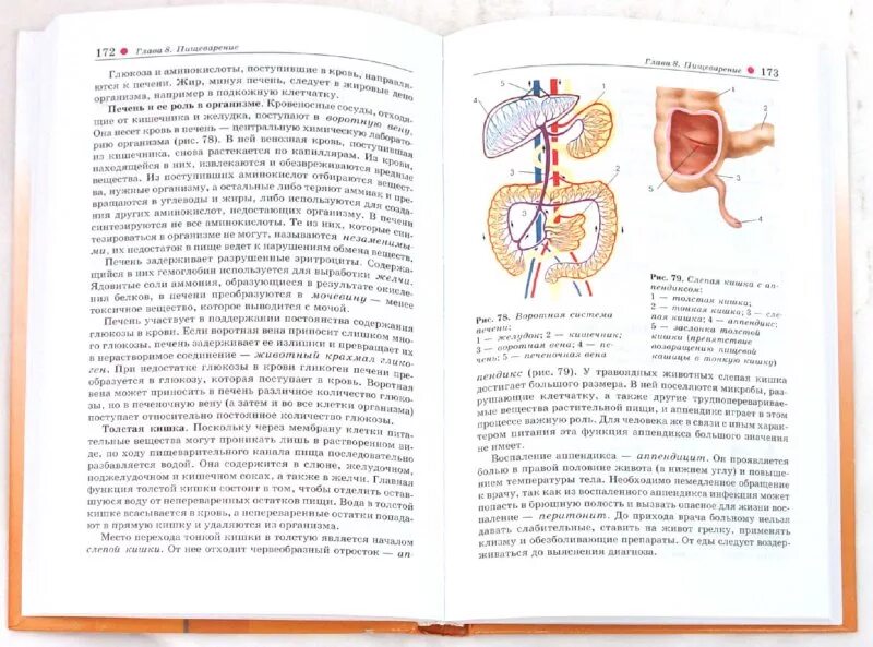 Биология 8 класс учебник параграф 12. Биология 8 класс учебник параграф 12. Биология 8 класс учебник параграф 12. Биология 8 класс учебник параграф 12. Биология 8 класс учебник параграф 12.