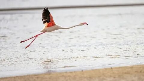 Жетілген Сандра Баня порно видео