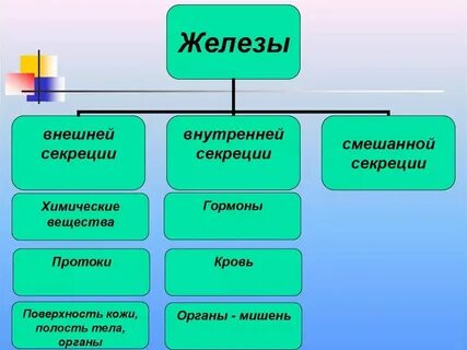 Что относится к пресным