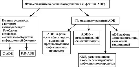 Заражение антителами
