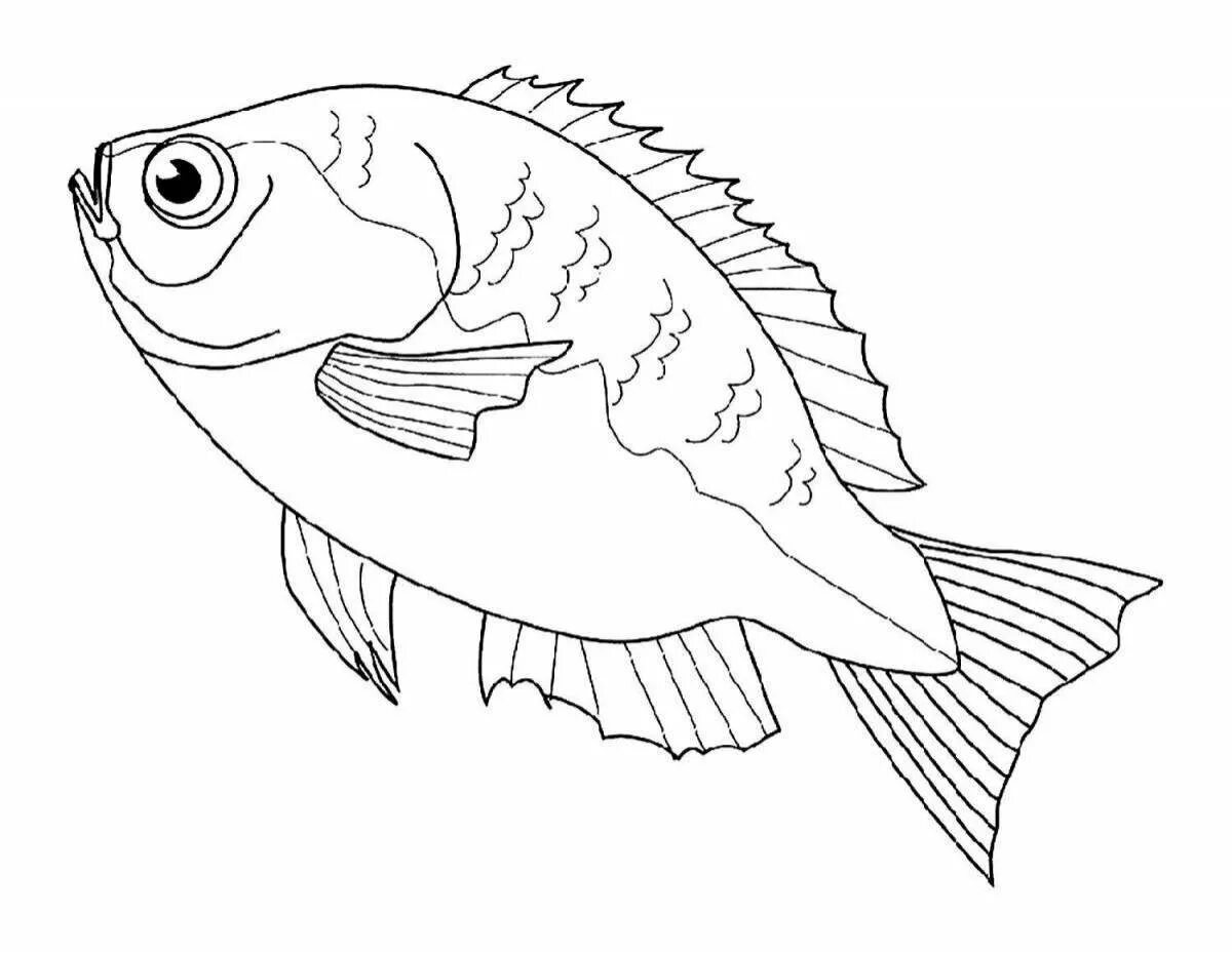 Раскраска рыбы для детей 7 лет. Рыба окунь Речной раскраска. Раскраска рыбка. Рыба раскраска для детей. Окунь раскраска для детей.