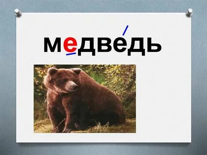 Слово медведь рисунок