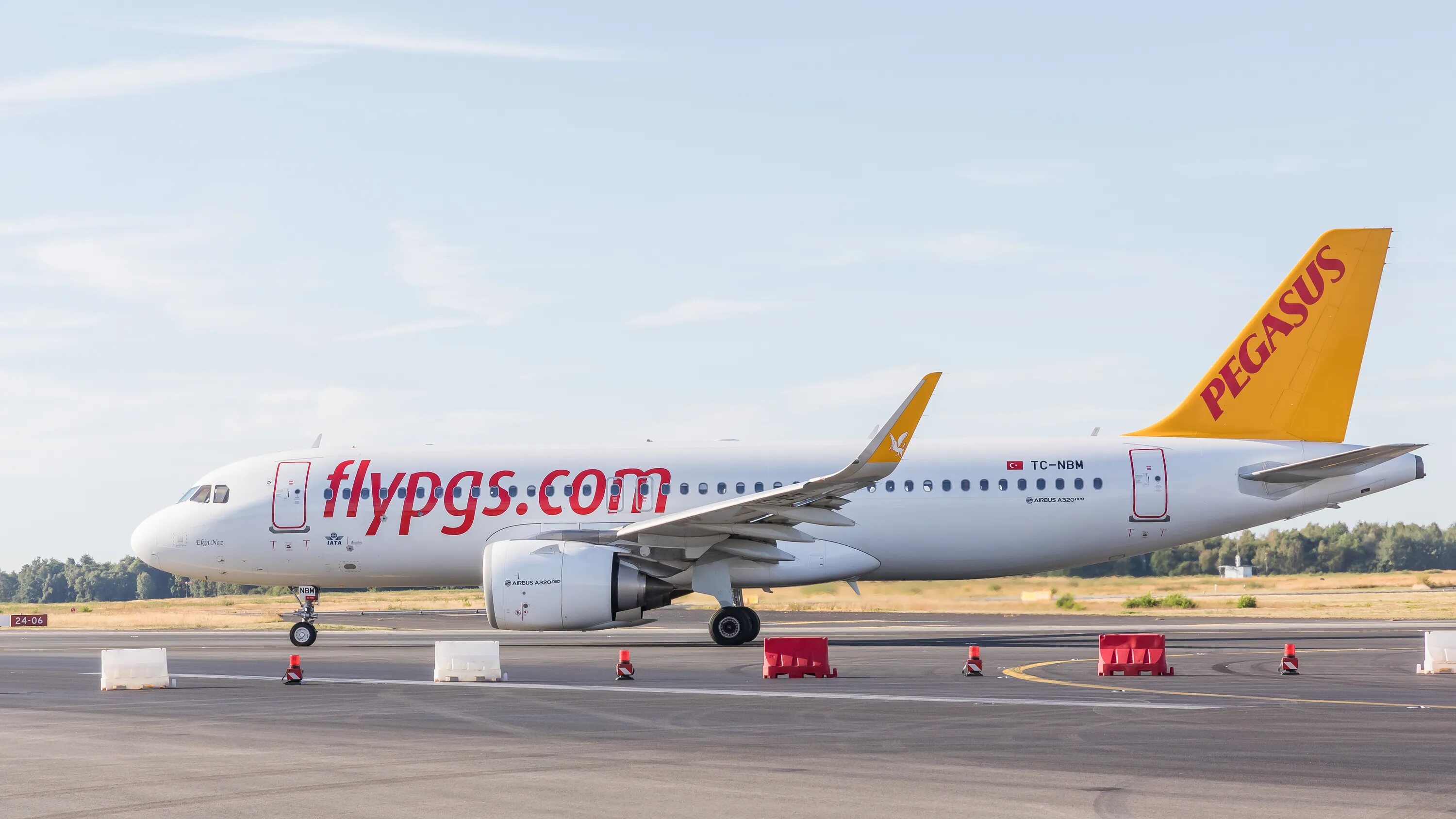 Pegasus Airlines Airbus-320. A320 TC-DCH Pegasus Airlines. Airbus a320-251n Pegasus. Pegasus Airlines a320 салон.