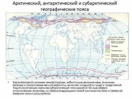 В каком полушарии расположен арктический пояс