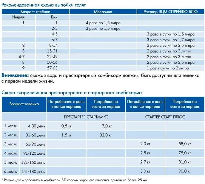 Сколько нужно давать телятам. Норма ЗЦМ для телят в 2 месяца. Схема выпойки молоеом телят. Схема вы пайки телят азцем. Нормы выпойки телят ЗЦМ.