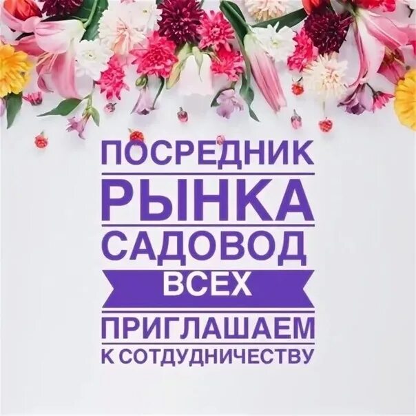 Посредник садовник. Посредник рынка садовод 10. Посредник рынка садовод 15%. Посредник садовник. Посредник рынка садовод.