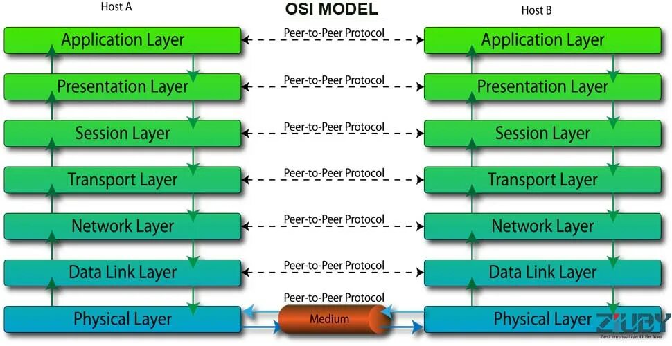 Osi модель data link layer. Osi модель transport layer. Osi модель physical layer. Osi модель presentation layer. Protocol host