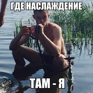 Курят кальян прикол