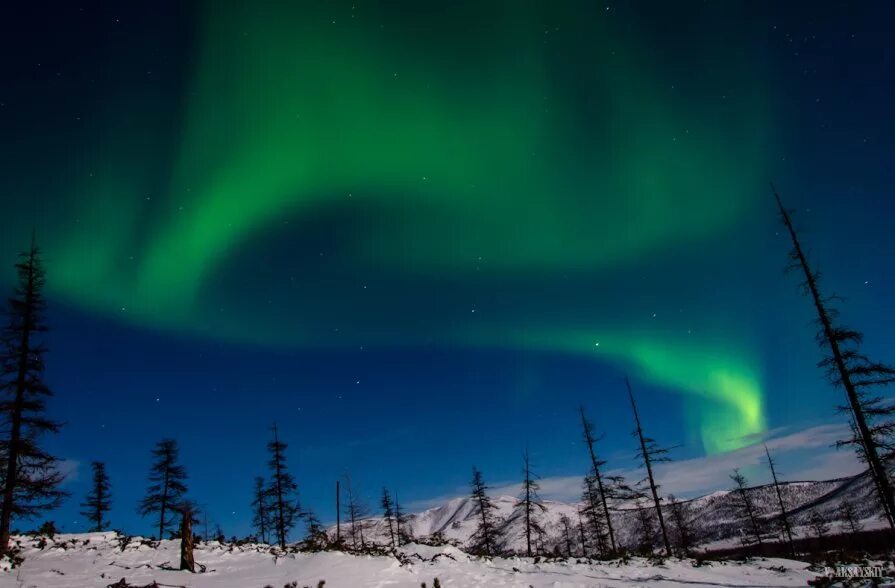 Продолжительность полярного дня и ночи. Презентация о полярной ночи. Дудинка северное сияние. Полярное сияние в антарктиде. Териберка ледовитый океан.