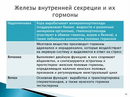 Железа внутренней секреции функции гормоны