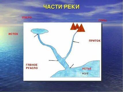 Устье приток исток русла