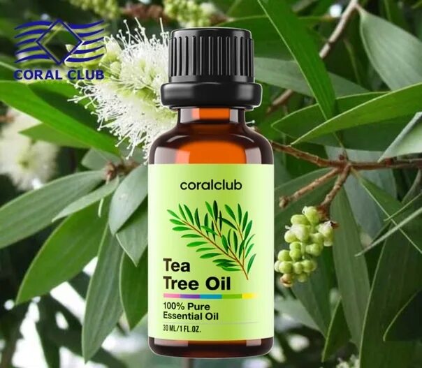 Body shop tea tree oil. Dо̄terra tea tree. Масло для дерева. Масло чайного дерева. Масло эфирное чайное дерево 10мл.
