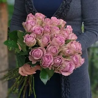 Prestige rose