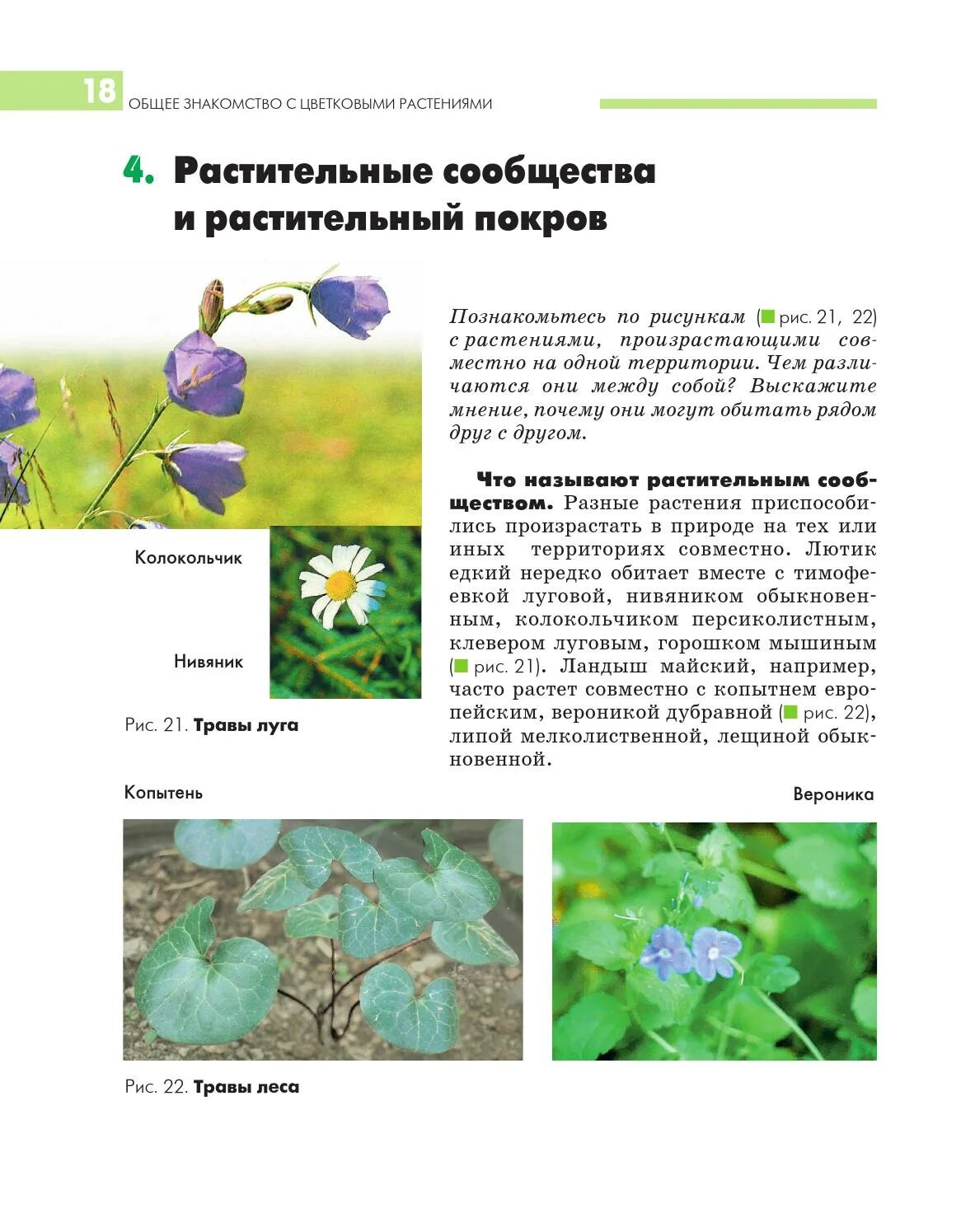 Биология 7 класс растительное сообщество пересказ. Растительное сообщество это в биологии. Растительные сообщества урок. Растительные сообщества 6 класс биология. Урок биологии растительные сообщества.