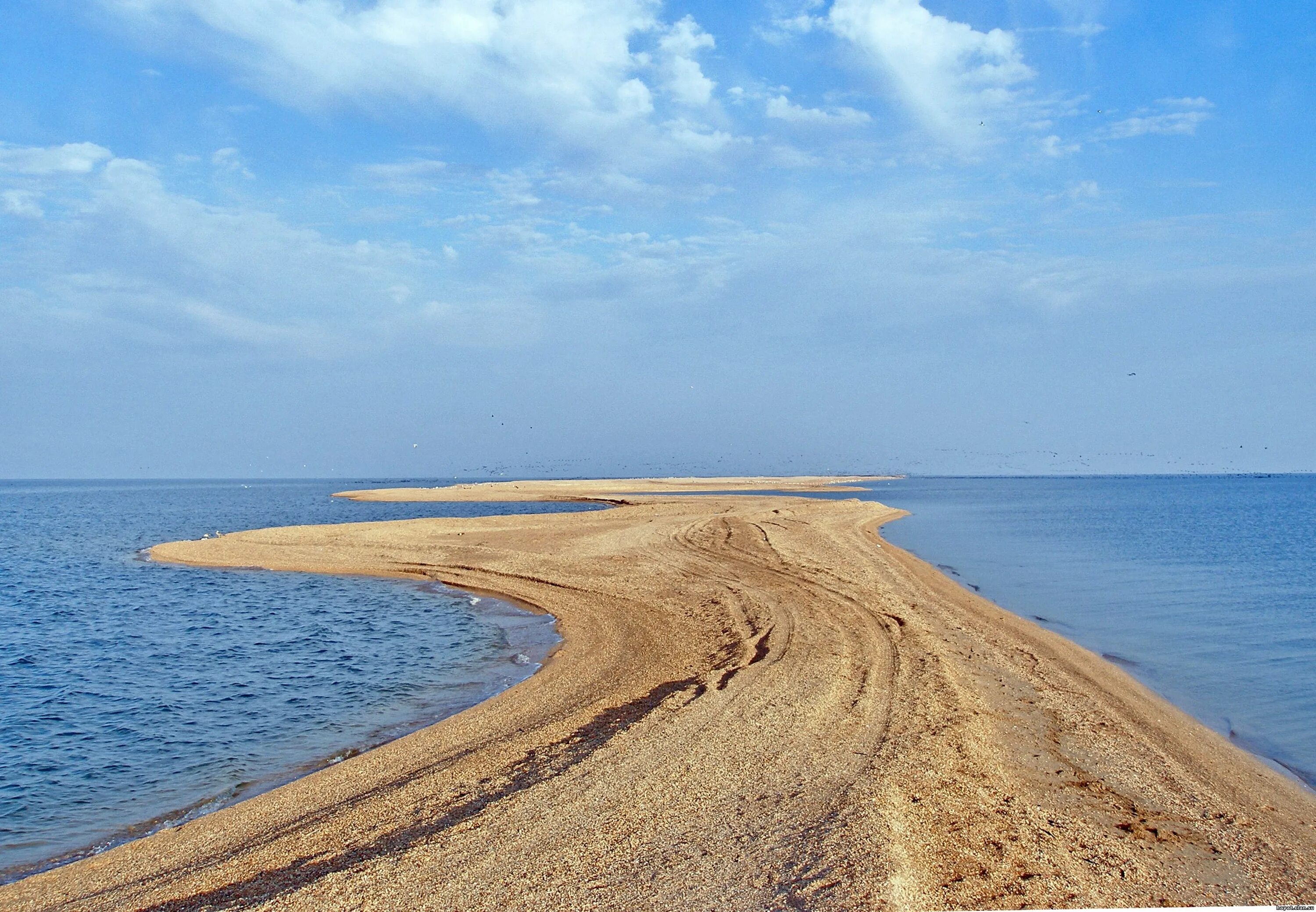 Коса купаться. Коса долгая станица Должанская. Коса долгая Азовское море. Долгая коса Ейск. Песчаная коса Азовское море.