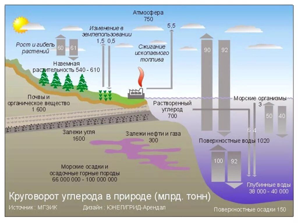 При сжигании топлива в атмосферу. Антропогенное влияние на круговорот углерода. Круговорот химических элементов круговорот углерода. Круговорот углекислого газа в биосфере. Глобальный круговорот углерода.