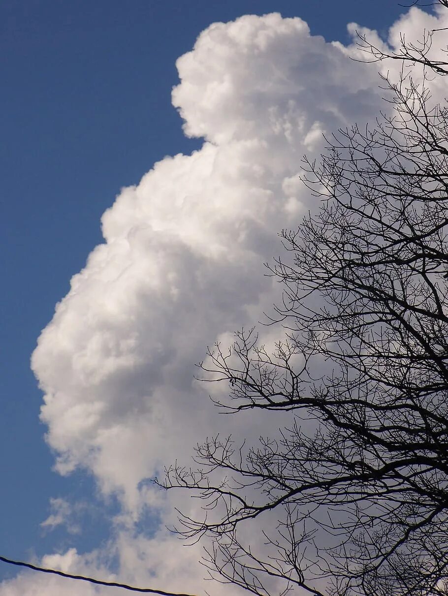 Какая погода сегодня в небе. Облака. Облако картинка. Кучевые облака. Пушистые облака.