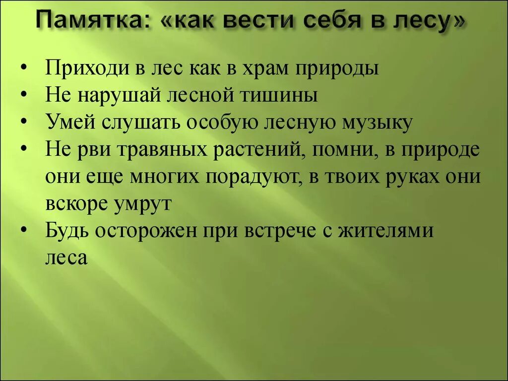 Рассказ как вести себя в лесу. Как вести себя в лесу. Памятка опасности в лесу. Памятка как вести себя на природе. Памятка как вести себя в лесу.