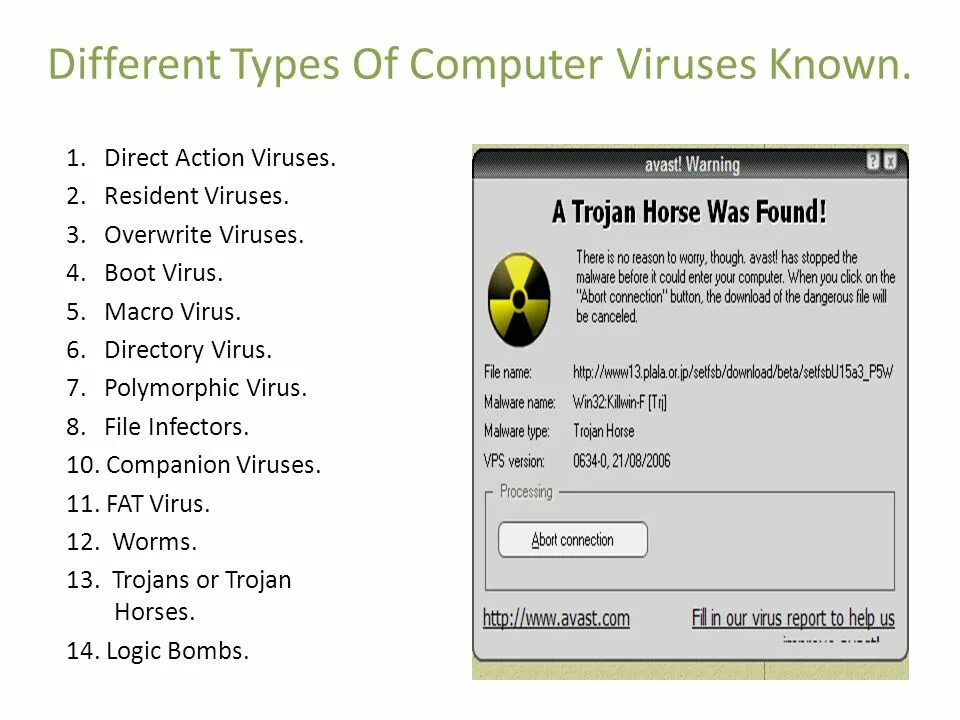 Types of Computer viruses. What is a Computer virus. Direct Action virus.