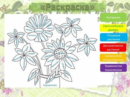 7 цветов работа