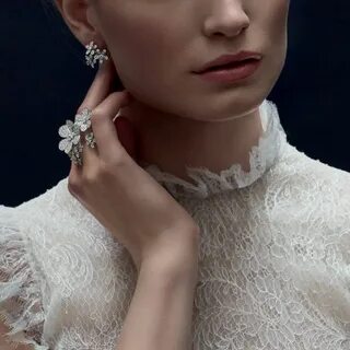 Andrea van cleef