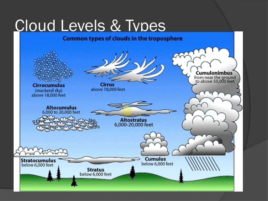 Высота образования облаков. Виды облаков. Виды облаков схема. Виды облаков рисунок. Типы дождевых облаков.