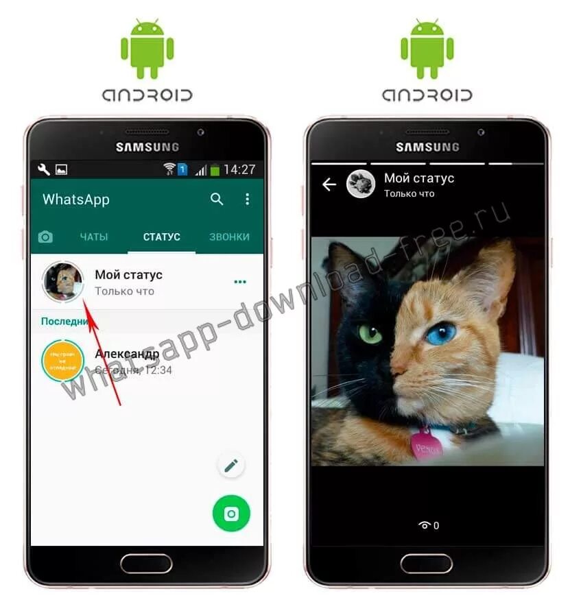 Статус в ватсапе. Статусы для WHATSAPP. Фотографии на статус ватсап. Как сделать статус в ватсапе. Как поставить фото на статусе в ватсапе