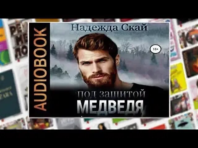 Аудиокнига скай
