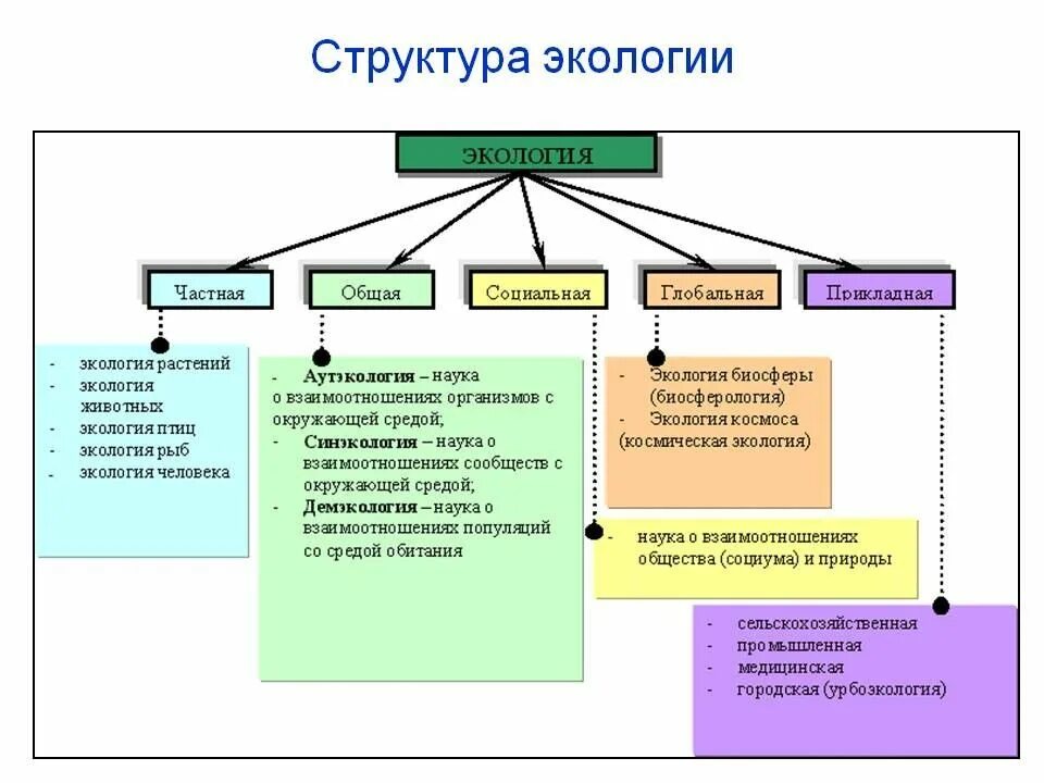 Содержание геоэкологии