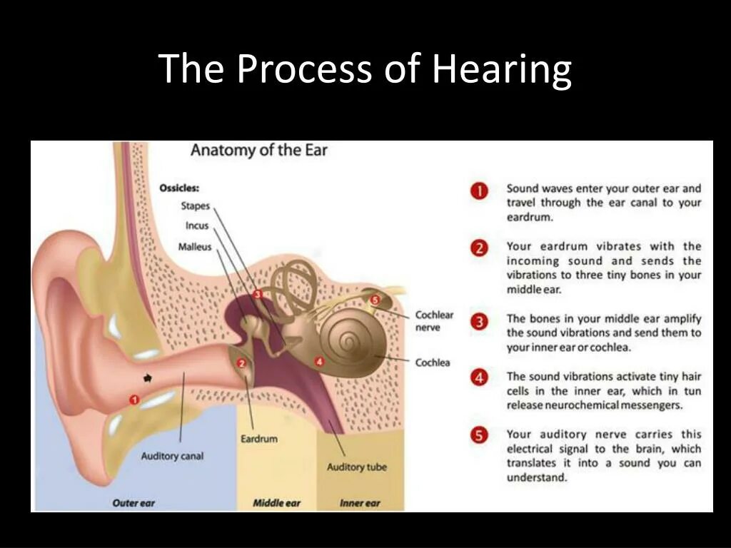 Message hearing