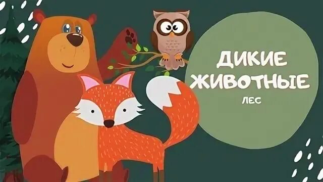 Дико учим
