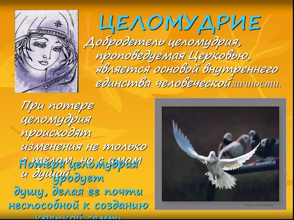 Целибат значение слова для женщин. Добродетель целомудрия. Целомудрие христианские добродетели. Целомудрие и чистота. Целомудрие в браке.