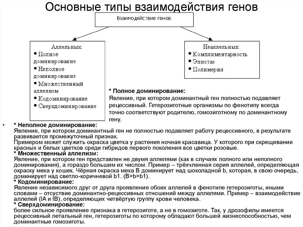 Схема типы взаимодействия аллельных генов. Формы взаимодействия аллельных генов. Типы взаимодействия аллельных генов кратко. Типы взаимодействия аллельных генов таблица.